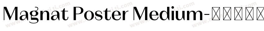 Magnat Poster Medium字体转换